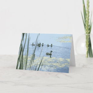 Mother Duck With Her Ducklings Swimming In A Pond Card