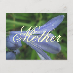 Mother Elegant Blue Flower Postcard