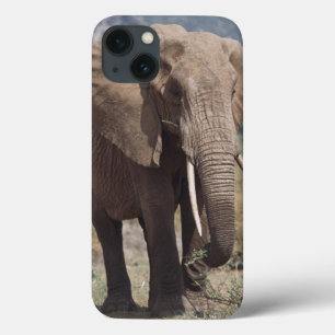 Mother elephant walking with elephant calf iPhone 13 case