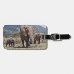 Mother elephant walking with elephant calf luggage tag
