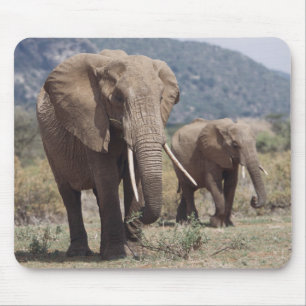 Mother elephant walking with elephant calf mouse mat
