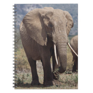 Mother elephant walking with elephant calf notebook