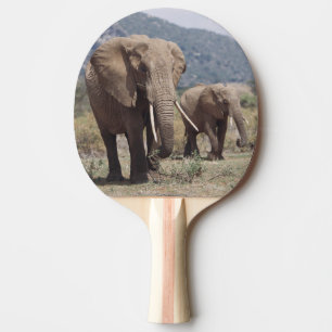Mother elephant walking with elephant calf ping pong paddle