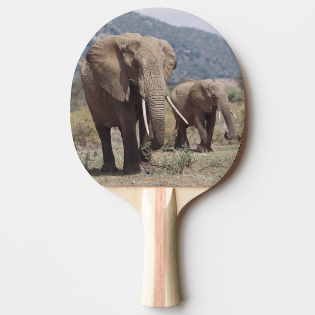 Mother elephant walking with elephant calf ping pong paddle (Front)