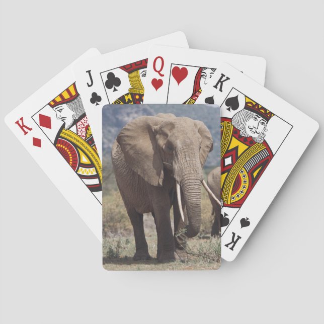 Mother elephant walking with elephant calf playing cards (Back)