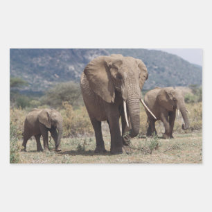 Mother elephant walking with elephant calf rectangular sticker