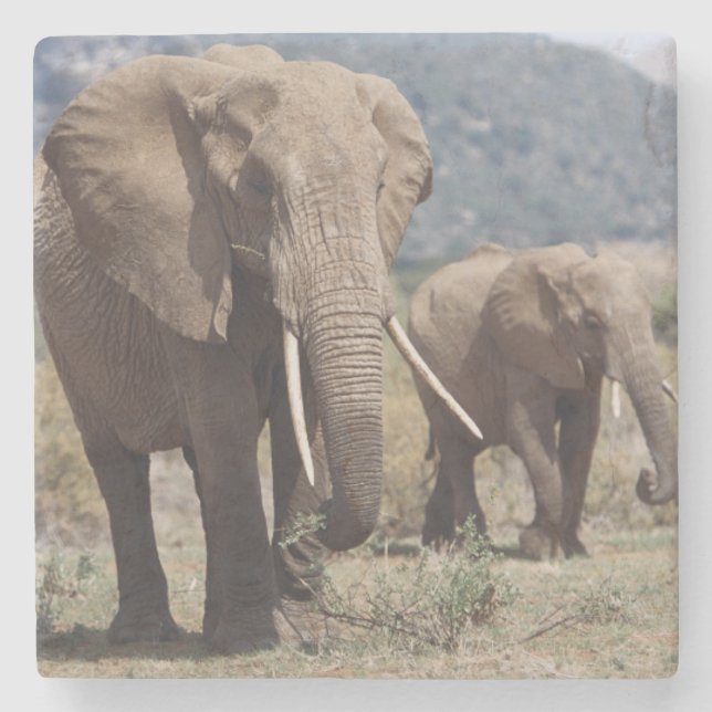 Mother elephant walking with elephant calf stone coaster (Front)