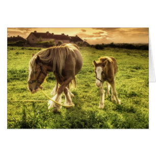 Mother & Foal Horse
