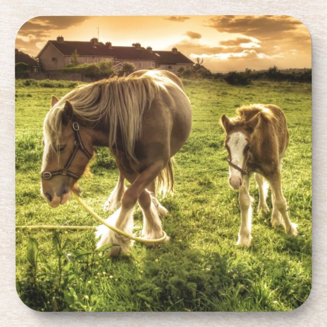 Mother & Foal Horse Coaster (Front)