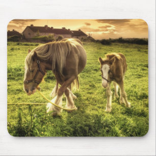 Mother & Foal Horse Mouse Mat