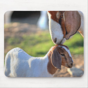 Mother Goat & Baby Mouse Mat