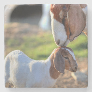 Mother Goat & Baby Stone Coaster