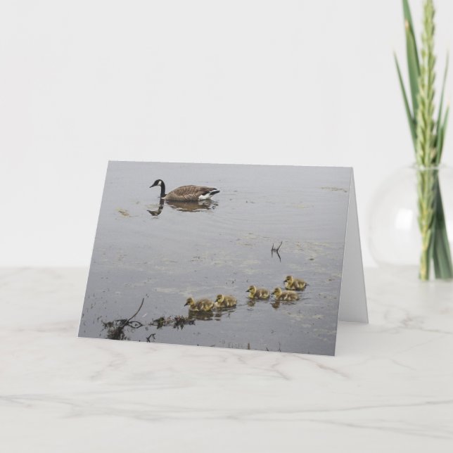 Mother Goose and Goslings Mother's Day card (Front)