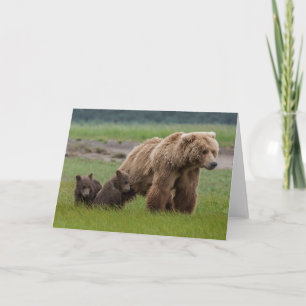 Mother Grizzly Bear with Twin Cubs Card