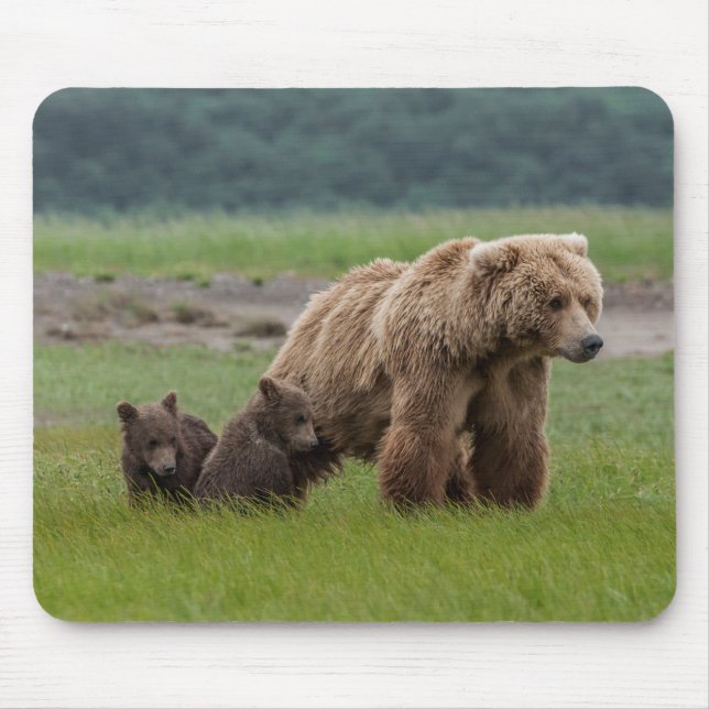 Mother Grizzly Bear with Twin Cubs Mouse Mat (Front)