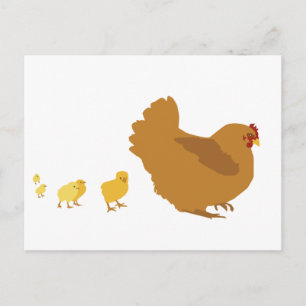 Mother Hen and Chicks Postcard