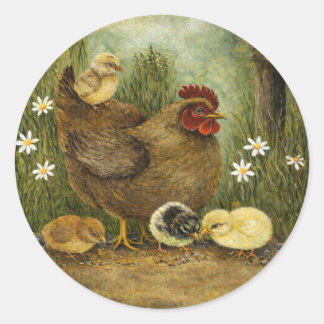 Mother Hen with Chicks Feeding on Sunflower Seeds  Classic Round Sticker