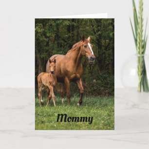 Mother Horse And Colt  Card