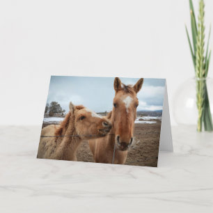 Mother Horse and Foal Card