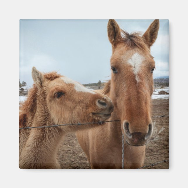 Mother Horse and Foal Magnet (Front)