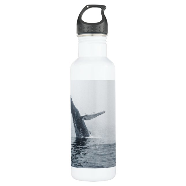 Mother Humpback Whale 710 Ml Water Bottle (Front)