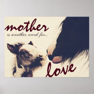 Mother is Another Word for Love Horse Poster