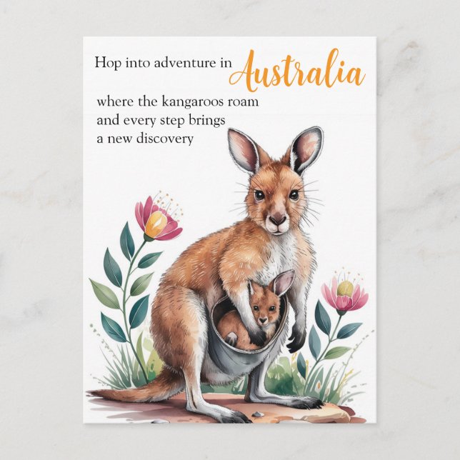 Mother Kangaroo Postcard (Front)