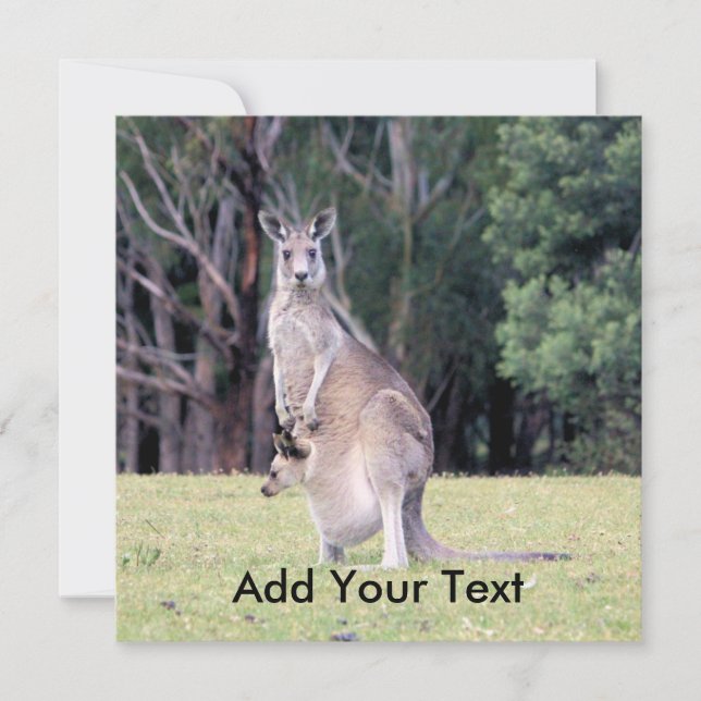 Mother Kangaroo with Baby Joey in Her Pouch Invitation (Front)