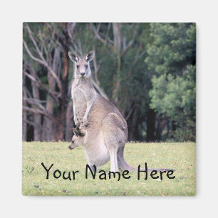 Mother Kangaroo with Baby Joey in Her Pouch Magnet
