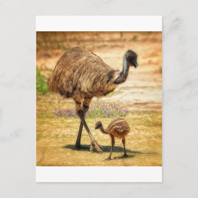 Mother keeping an eye on her baby postcard (Front)