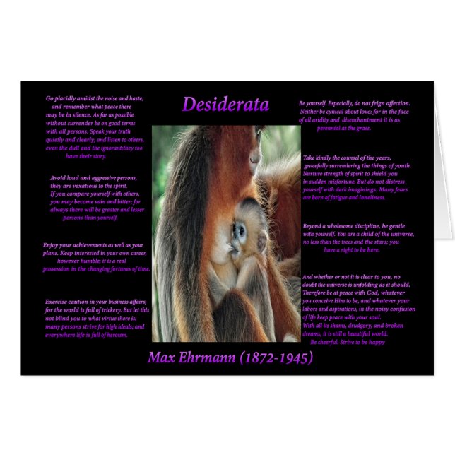 Mother Love (Front Horizontal)