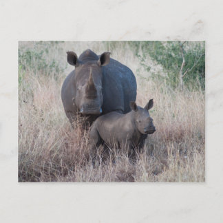 Mother Love - Rhino Style Postcard