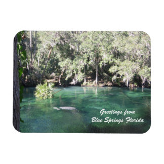 Mother Manatee with calf Blue Springs Personalise  Magnet