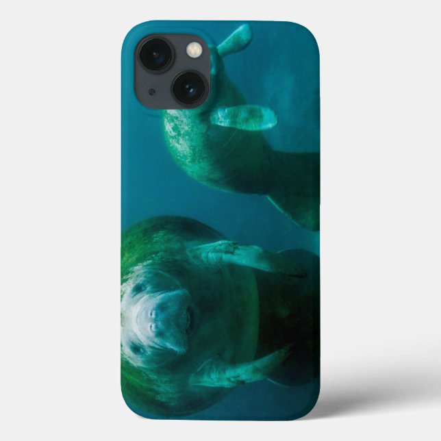 Mother manatee with her calf in Crystal River Case-Mate iPhone Case (Back)