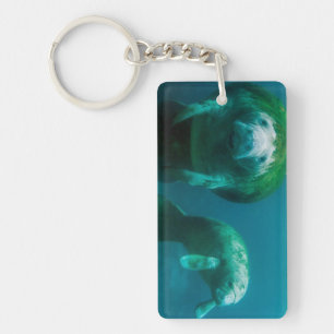 Mother manatee with her calf in Crystal River Key Ring
