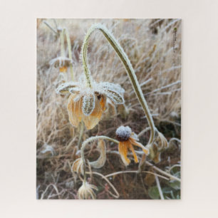 Mother Nature Touched Frosty Rudbeckia Flowers Jigsaw Puzzle