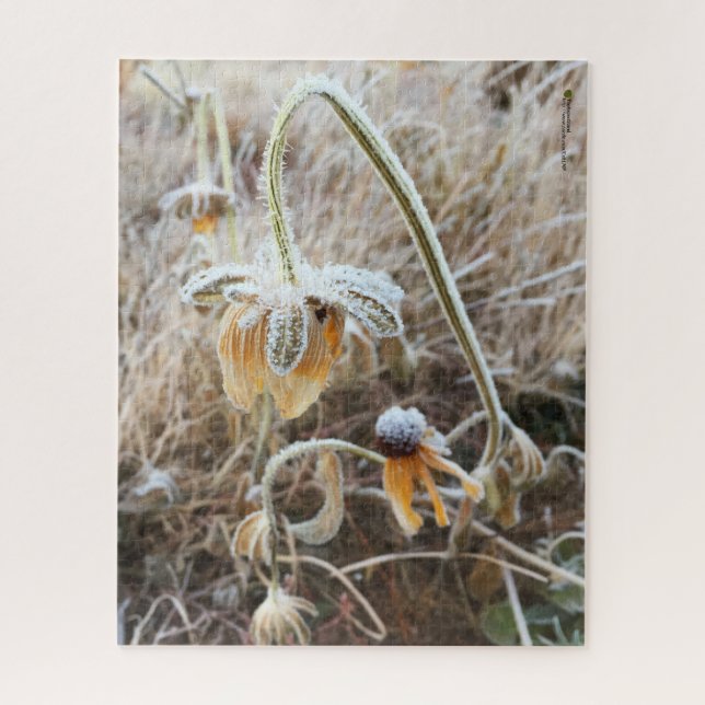 Mother Nature Touched Frosty Rudbeckia Flowers Jigsaw Puzzle (Vertical)