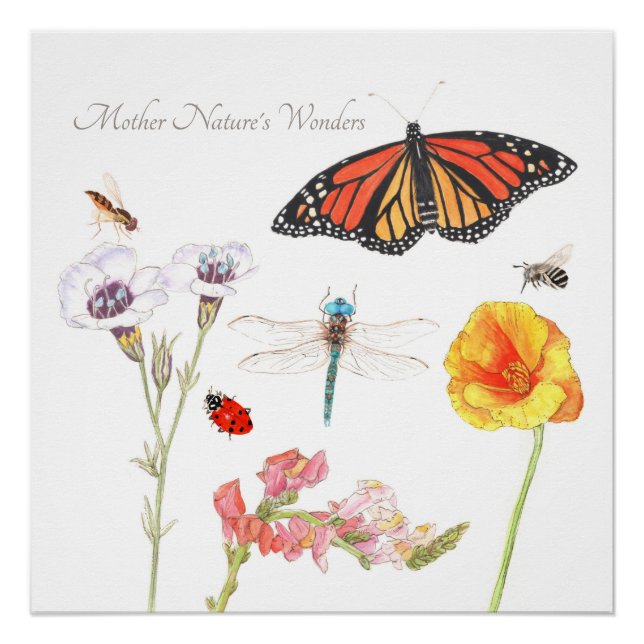 Mother Nature's Wonders Poster (Front)