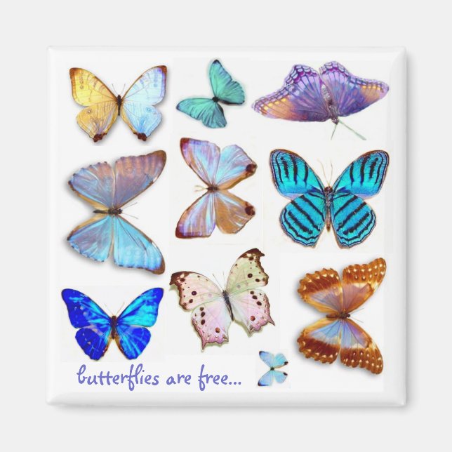 Mother of Pearl Butterflies Magnet by S Ambrose (Front)