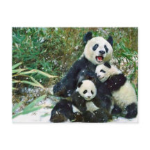 Mother Panda