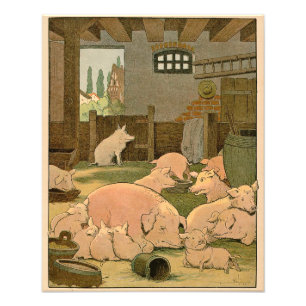 Mother Pig and Piglets on the Farm Photo Print