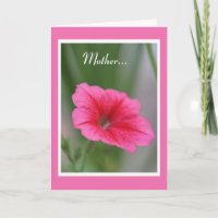Mother...Pink Petunia