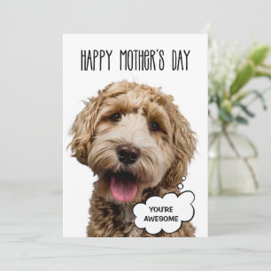 Mother’s Day Card, Funny Dog Mothers Day dog mum Holiday Card
