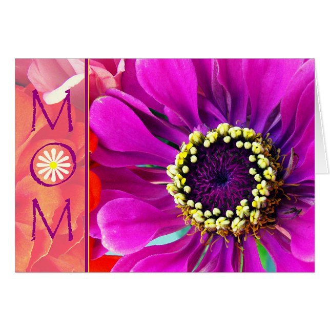 Mother’s Day with Purple Zinnia Flower Macro Photo (Front Horizontal)