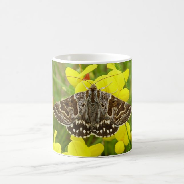 Mother Shipton Moth Bug Mug (Center)
