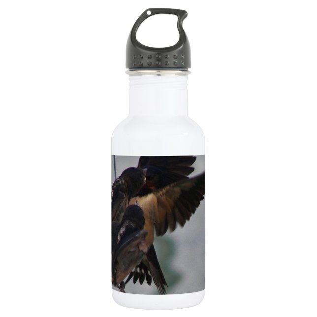 Mother swallow 532 ml water bottle (Front)