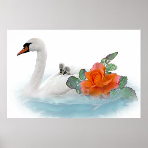 Mother Swan, Babies and Roses Poster