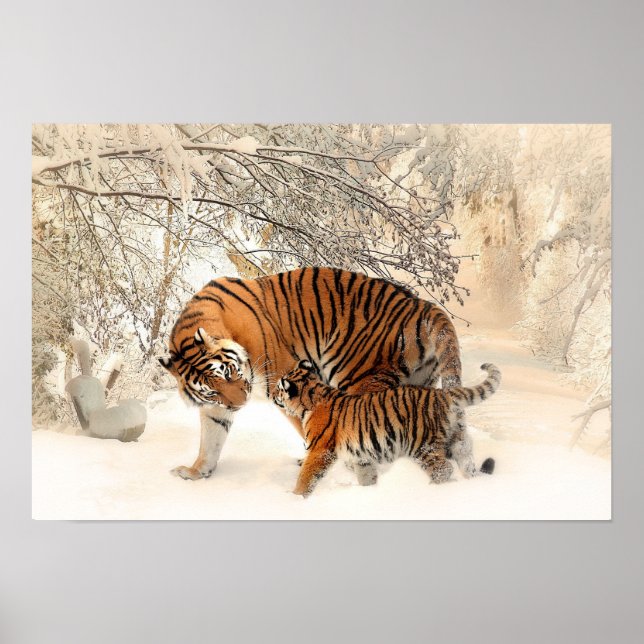 Mother Tiger and Cub in the Snowy Woods Poster (Front)
