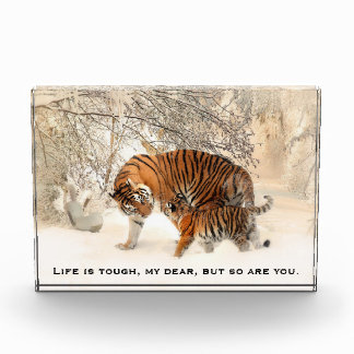 Mother Tiger and Cub Inspiring Quote Photo Block
