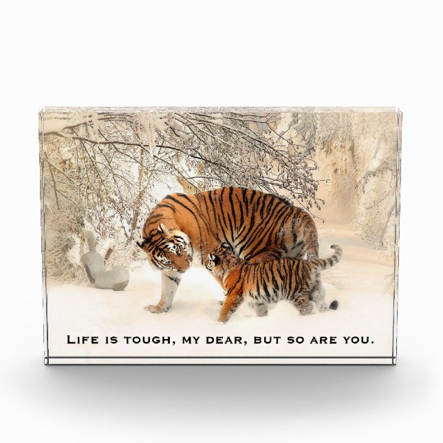 Mother Tiger and Cub Inspiring Quote Photo Block (Front)